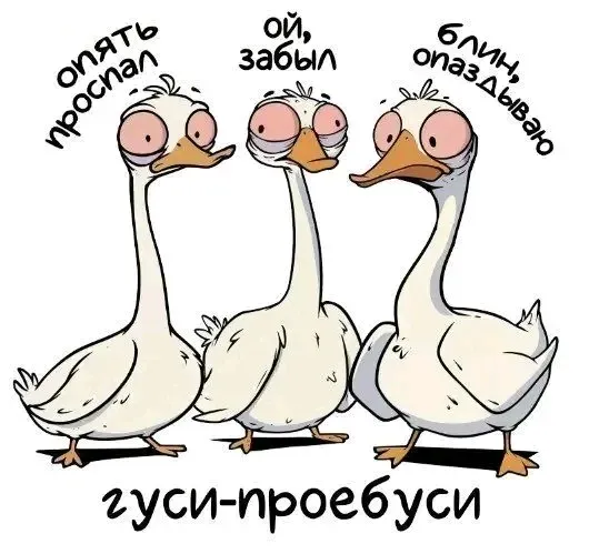 Гуси #1