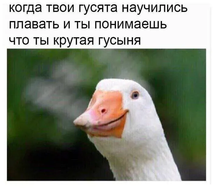 Приято ведь #1