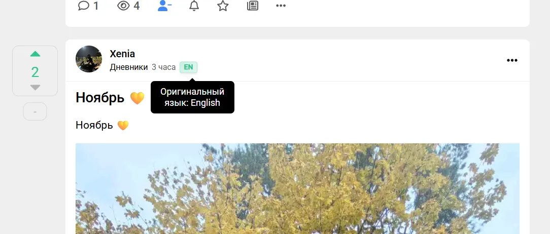 Отображение переведенных постов [фидбек] #2
