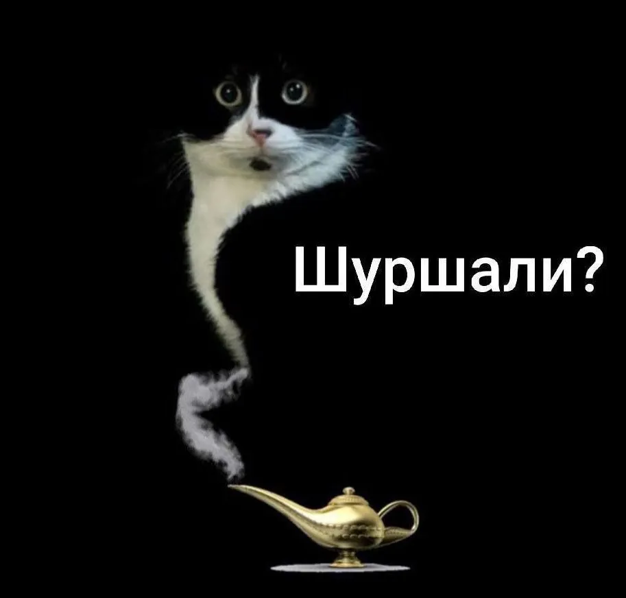 Шум #1