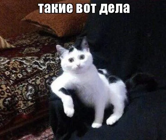 Исправлен скрол через левую полоску [фидбек] #2