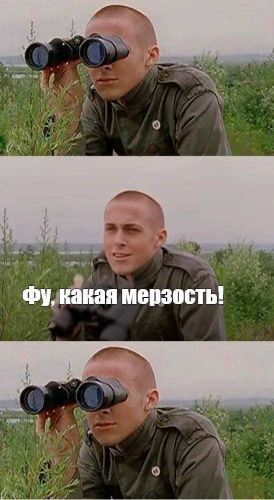 Как понять, что кошки работали на моем комьютере? #1
