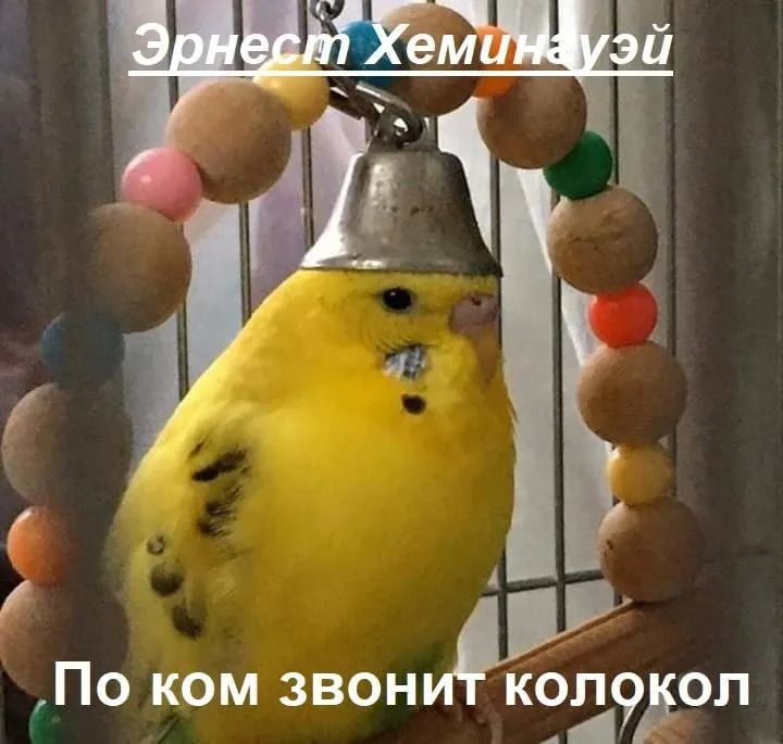 По ком звонит колокол #1