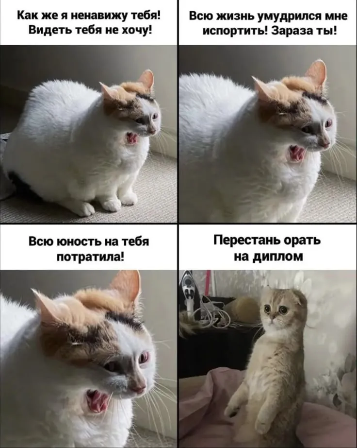 Новая порция мемчиков, для вас☺️ #1