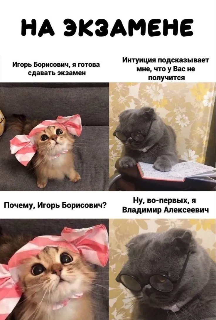 Новая порция мемчиков, для вас☺️ #3