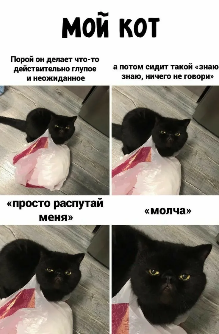 Новая порция мемчиков, для вас☺️ #2