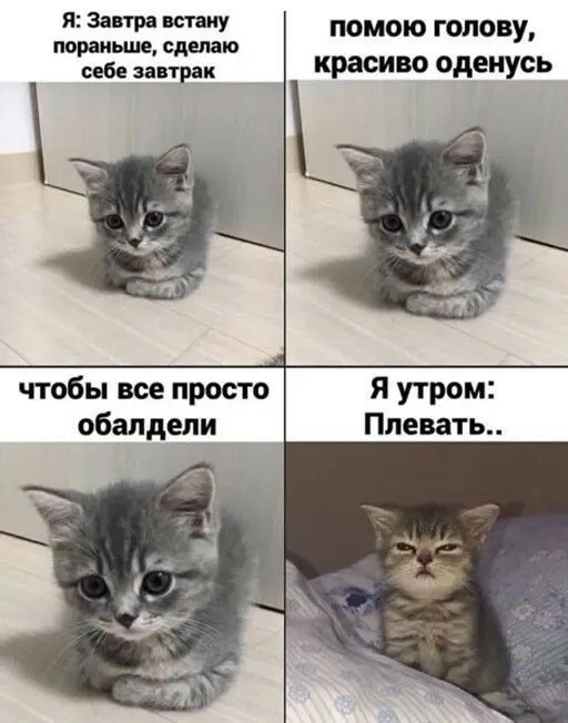 Новая порция мемчиков, для вас☺️ #5