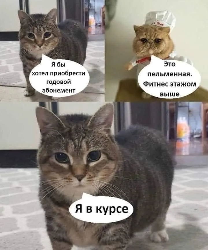 Новая порция мемчиков, для вас☺️ #7