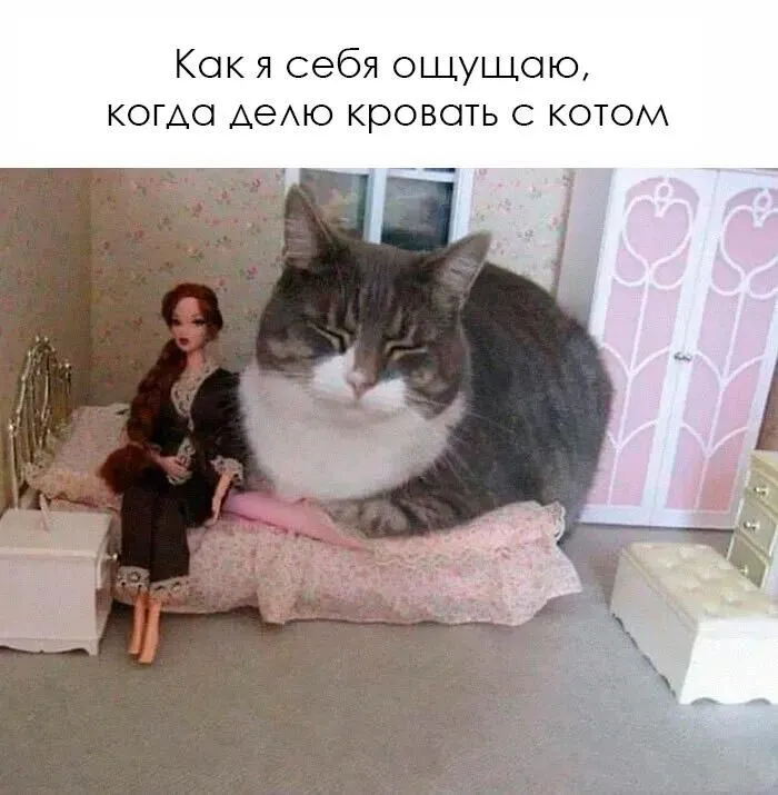 Скажу смело было, на постоянной основе 😅