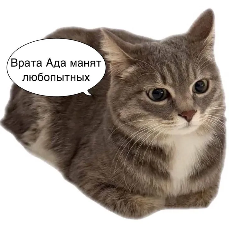 😂Мемы для важных переговоров, сохраняй) #10