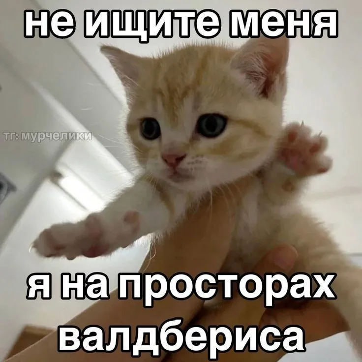 😂Мемы для важных переговоров, сохраняй) #5