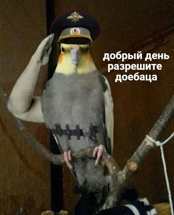 😂Мемы для важных переговоров, сохраняй) #3