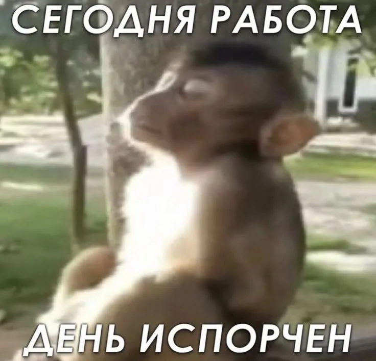 😂Мемы для важных переговоров, сохраняй) #8
