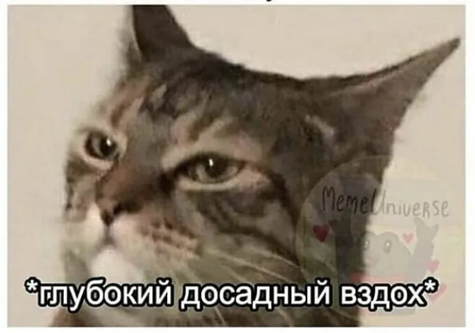 😂Мемы для важных переговоров, сохраняй) #9