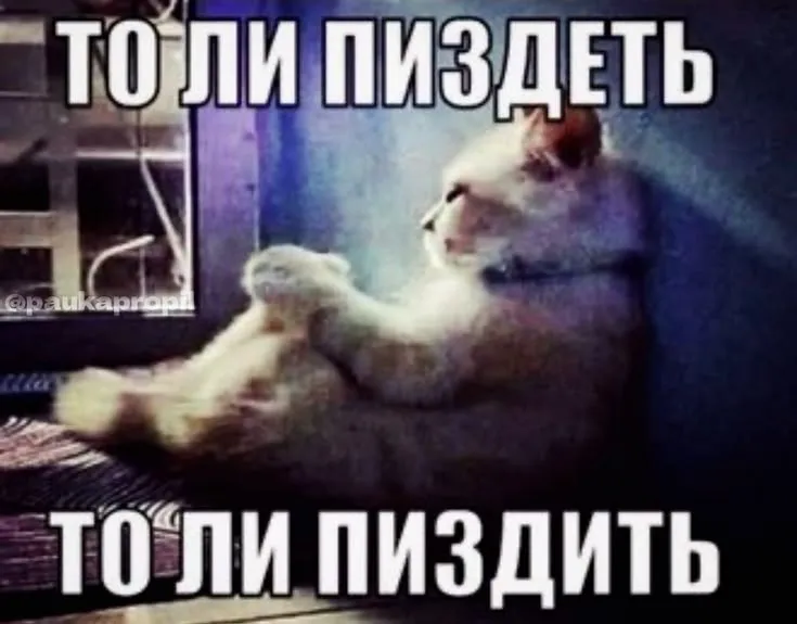 😂Мемы для важных переговоров, сохраняй) #21