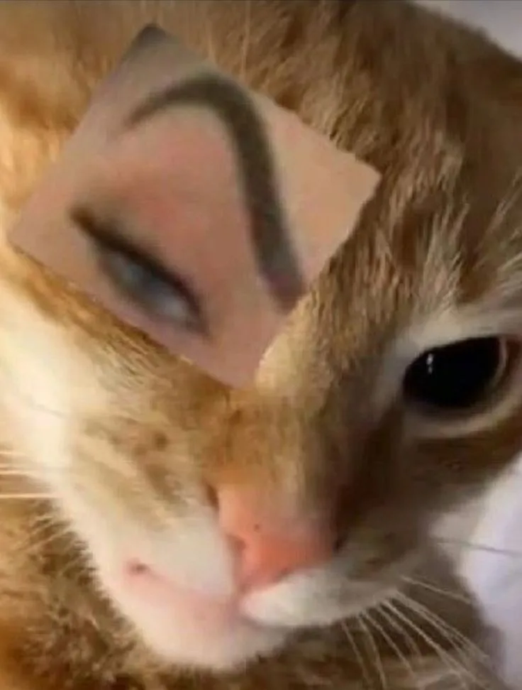 Мое ленивое табло когда я увидела это😂