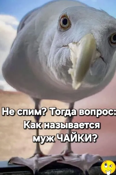 Как то так!!! ☺️ #1