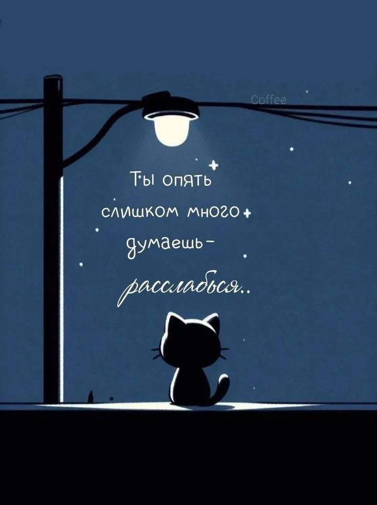 Спокойной ночи ♥️ #1