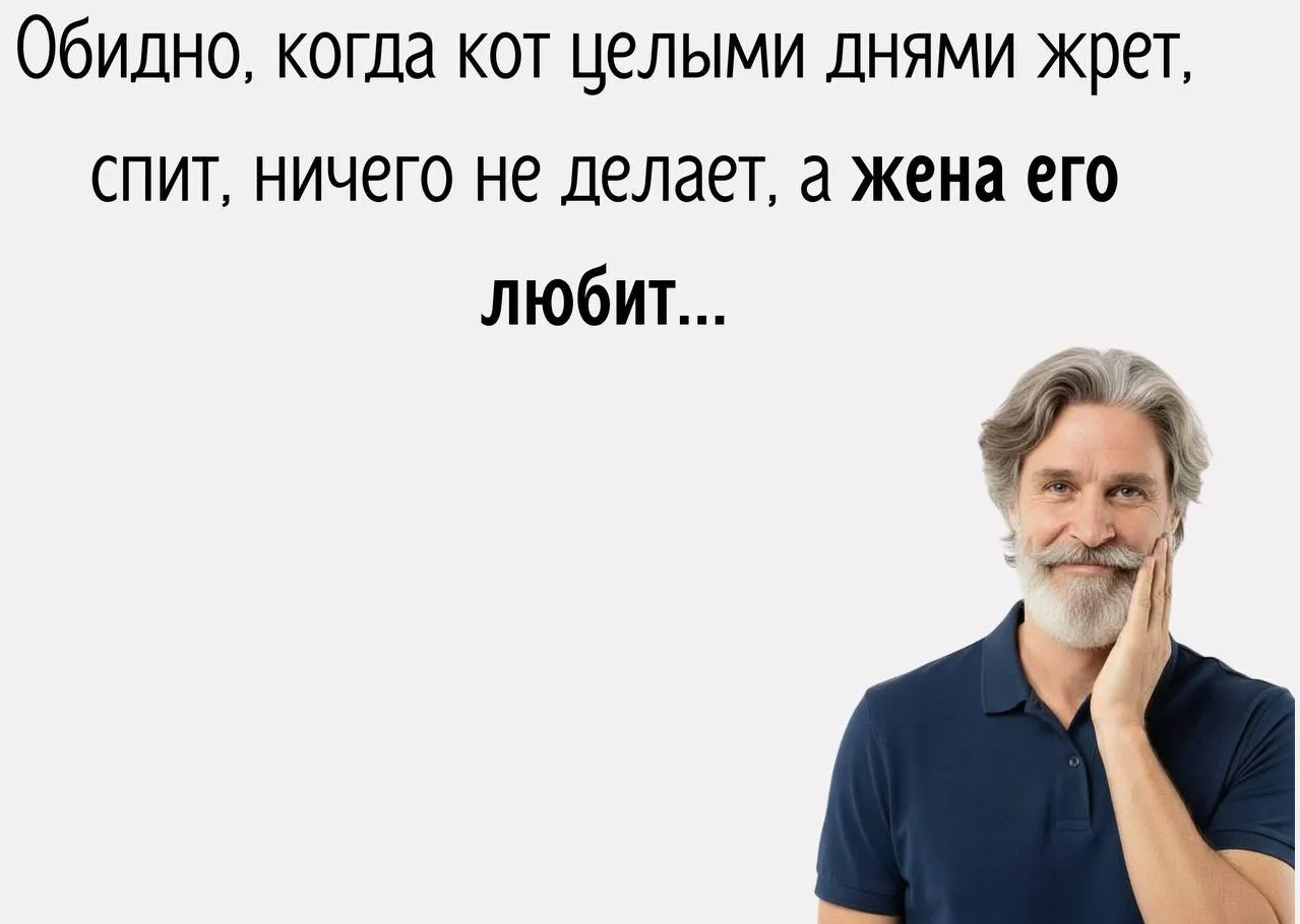 Несправедливая кошачья конкуренция 🐾 #1