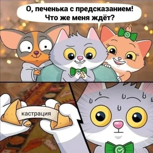 Сюрприз судьбы — обычно не подарок😢
