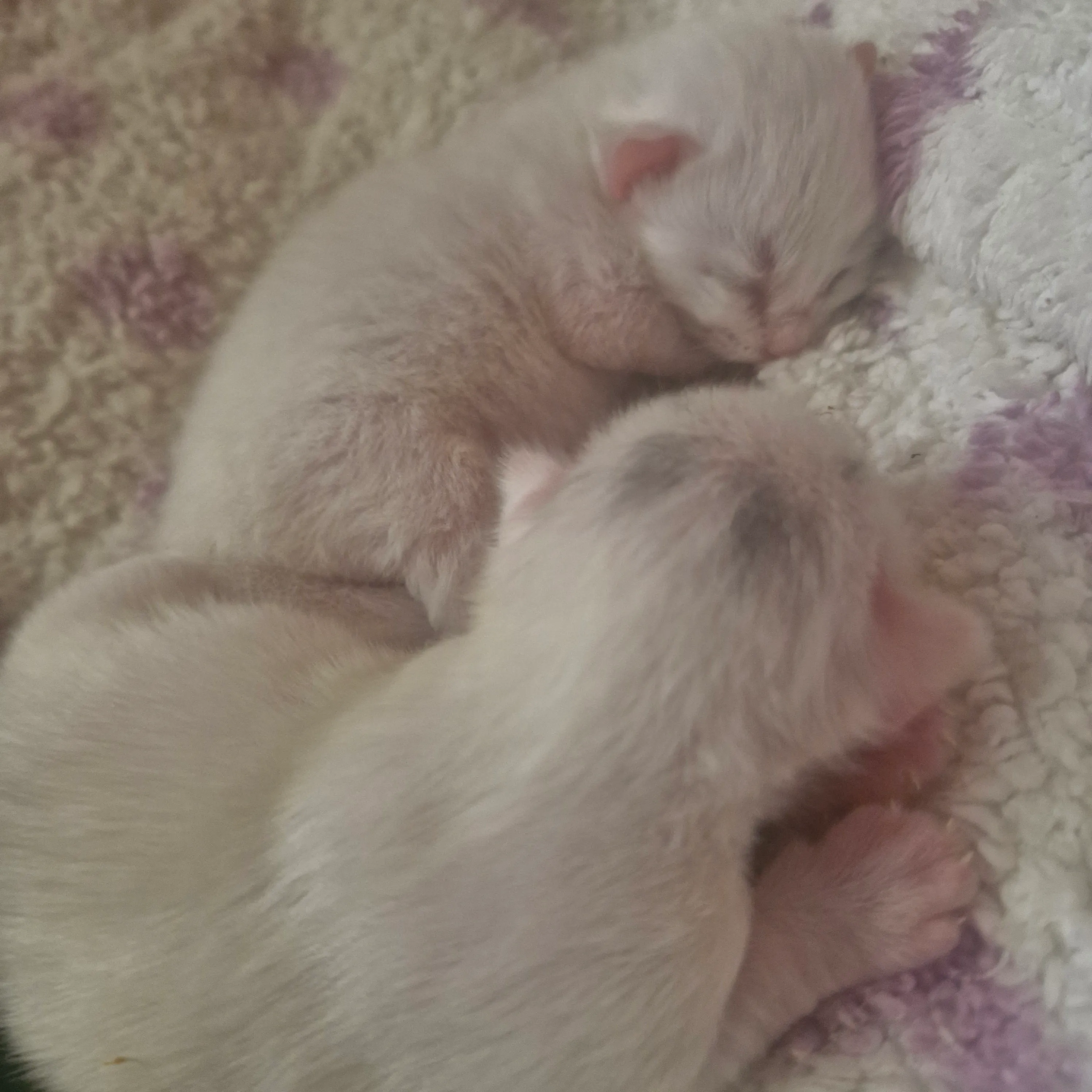 🥰 #3