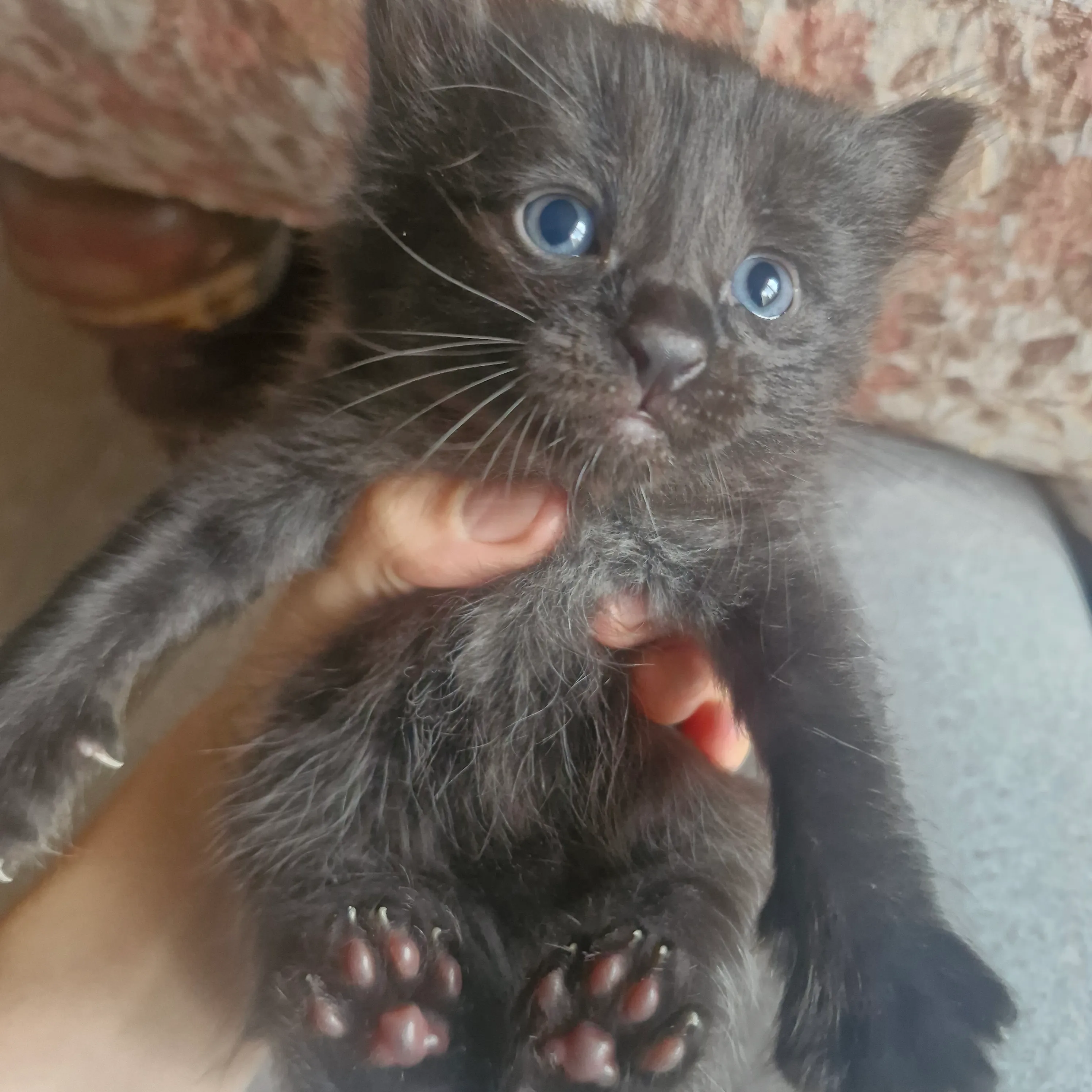 😍 #4
