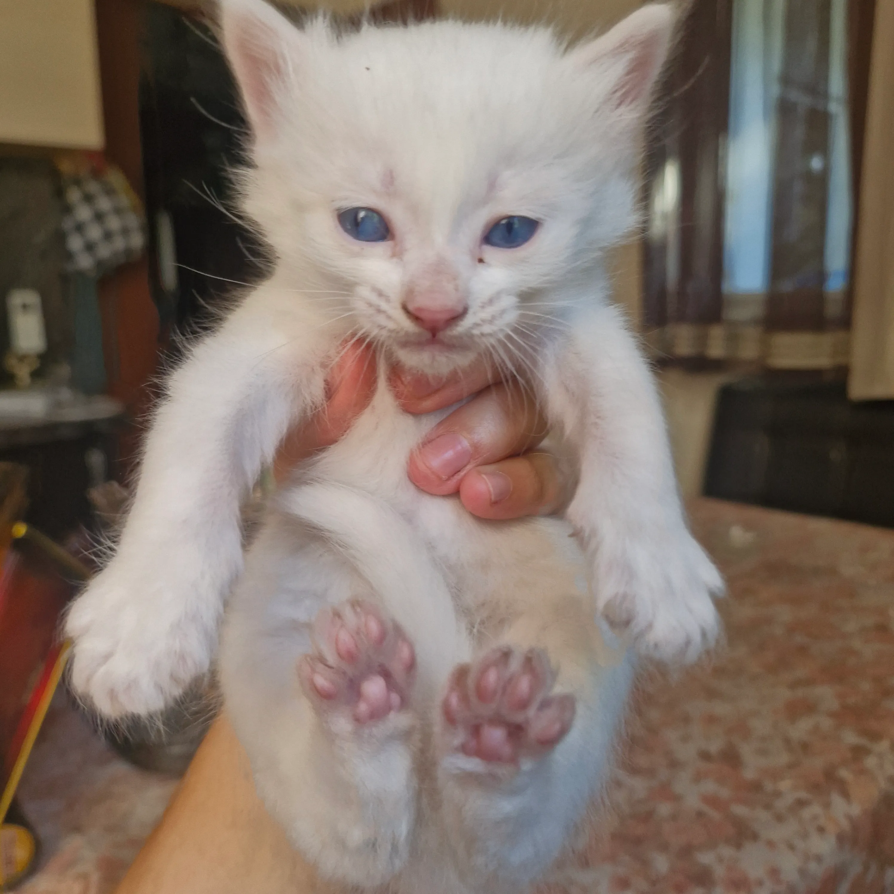 😍 #4