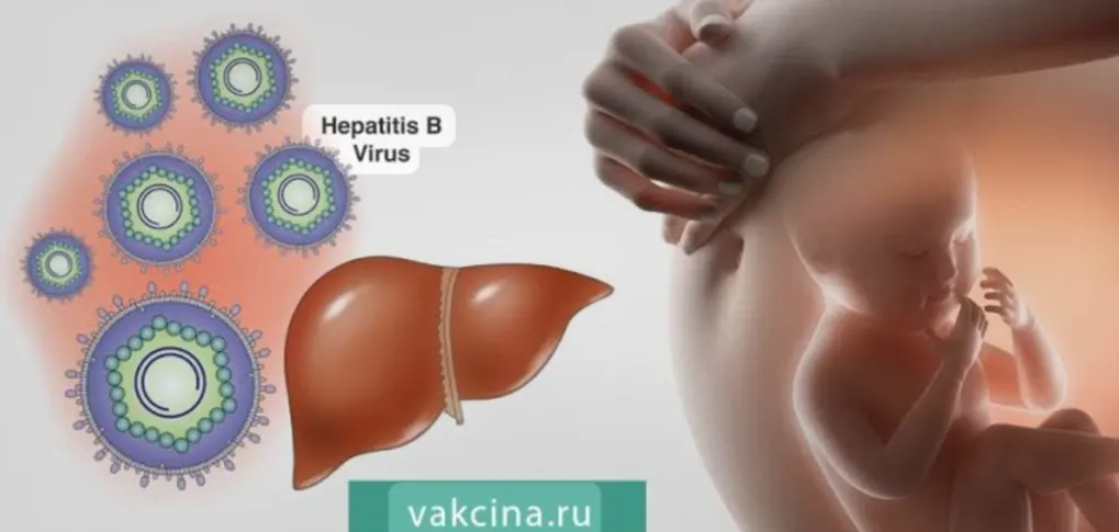 Гепатиты и беременность 🤰🏻 #1