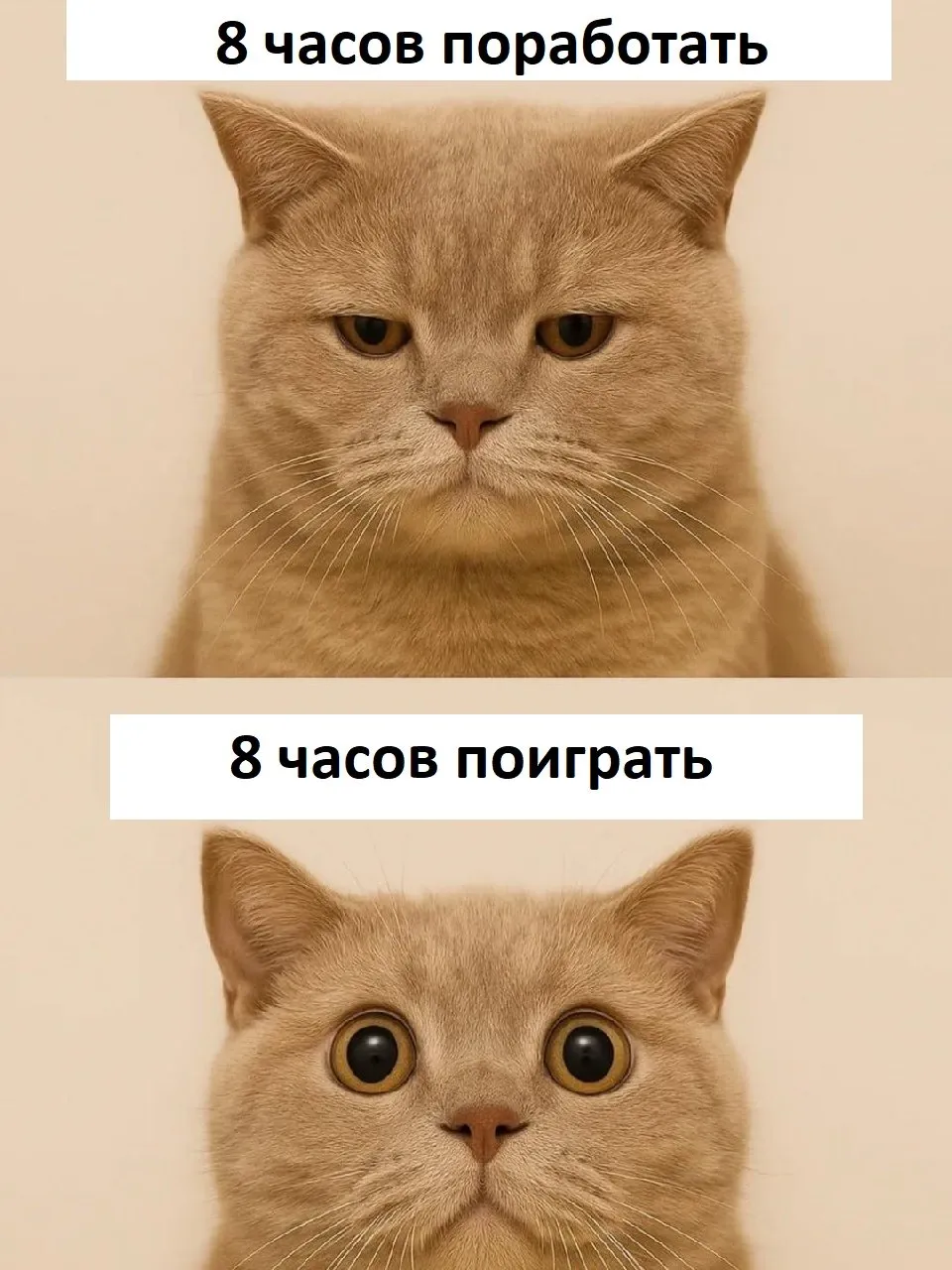 Есть разница😄 #1