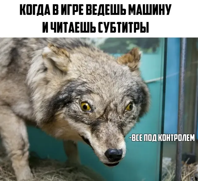 😅 #1