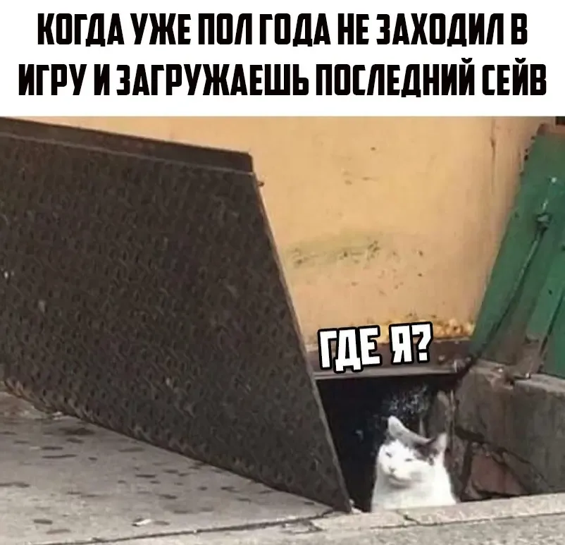 😂 #1