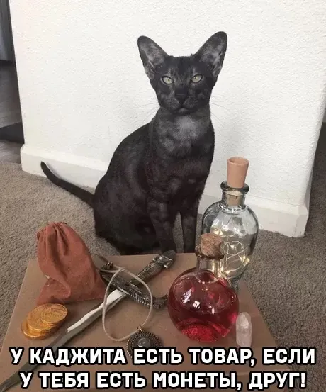 😸 #1