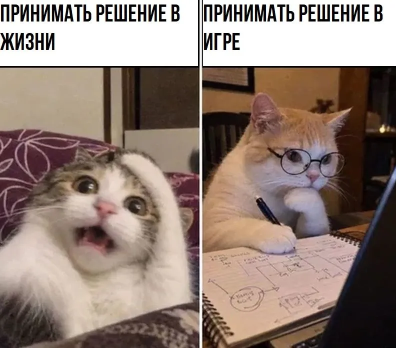 Обдуманный подход😅 #1