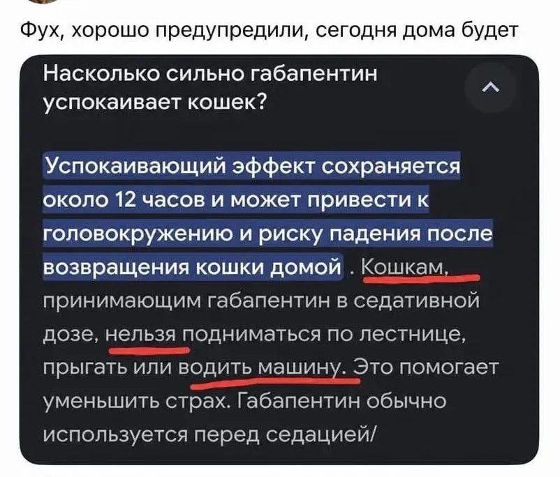 ❤️ Нейросети — топовые консультанты в вопросах ветеринарии #1