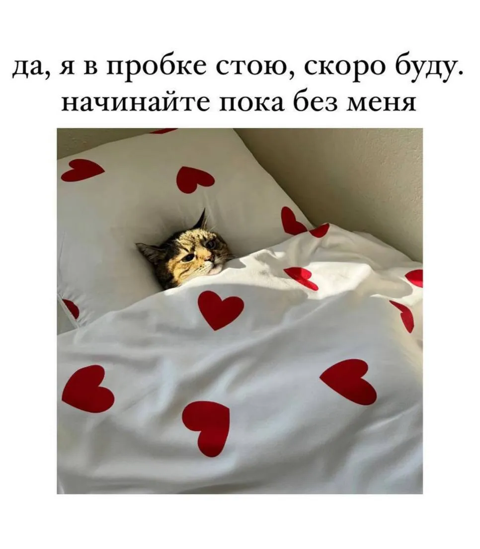 Все сегодня вовремя на работу приехали? #1