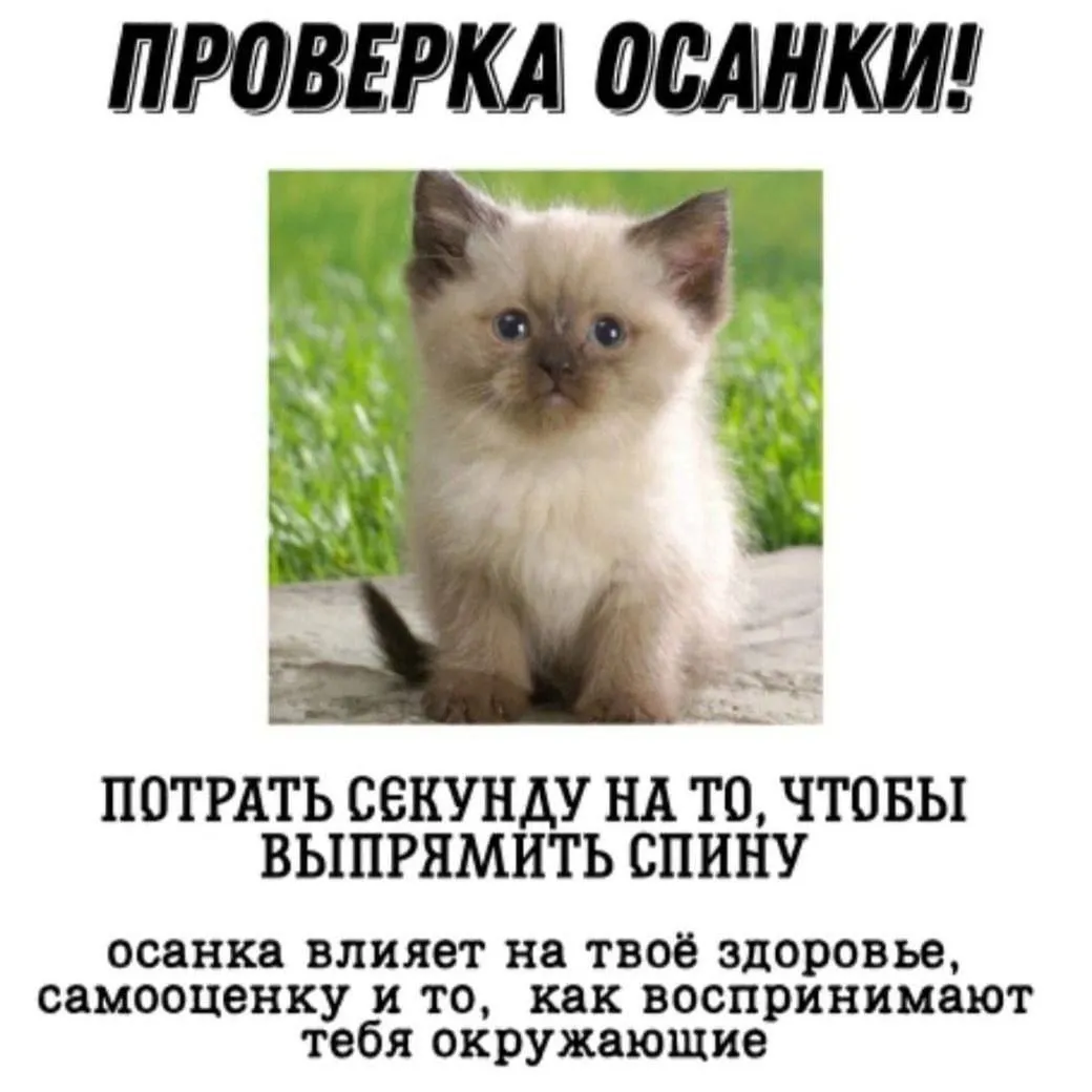Кто как борется с сутулостью? Пишите в комментариях #2