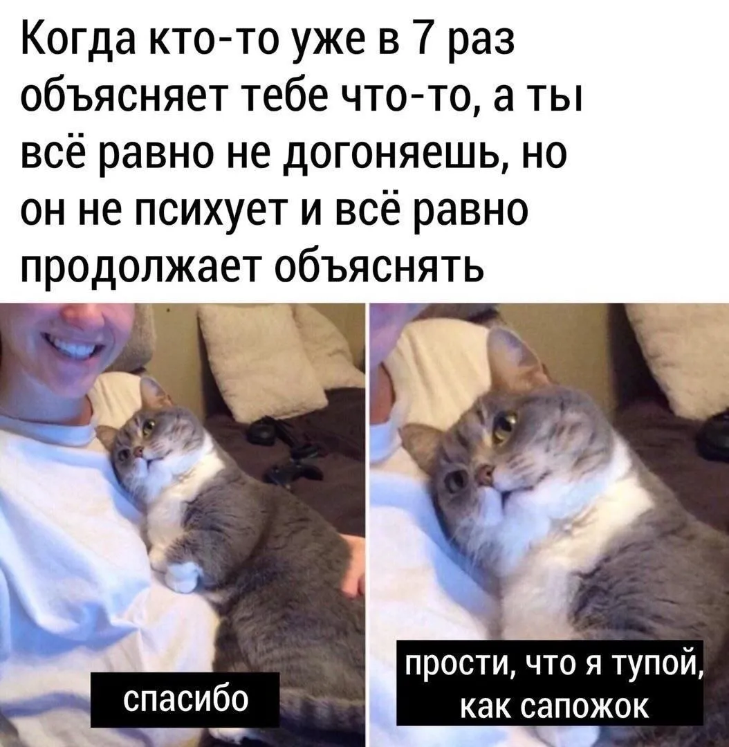 Нейросети тоже учатся 😊 #2
