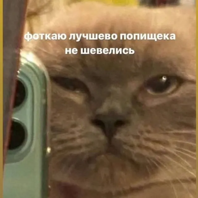 Ребяты! Поднимите карму, пожалуйста ❤️хочу видео выкладывать #1
