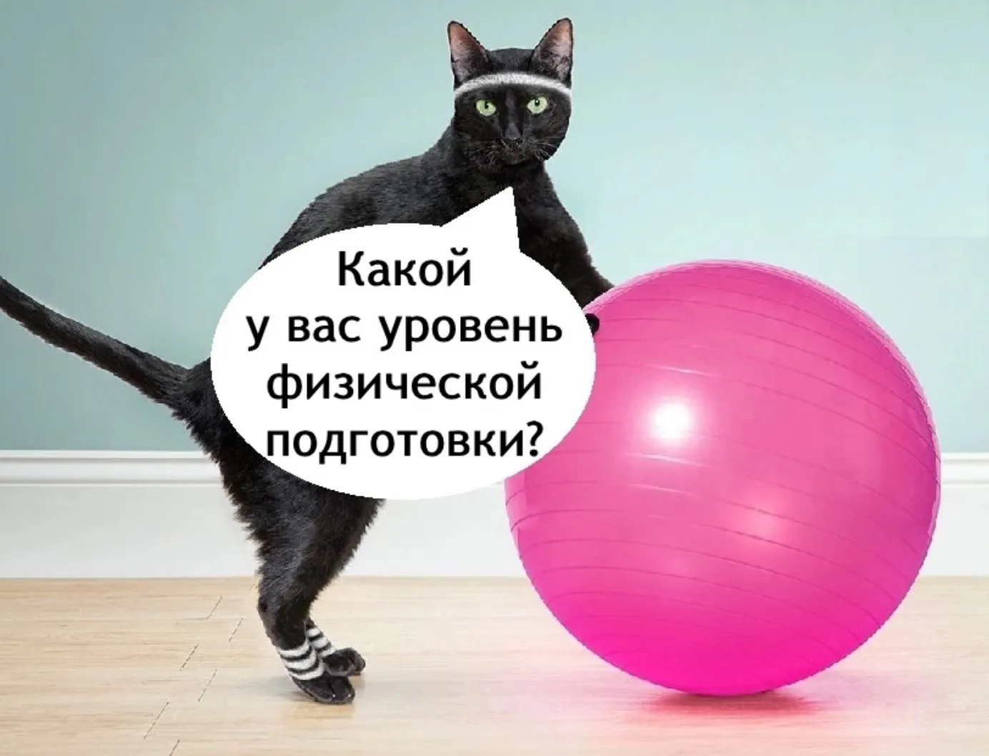 Перекличка! Кто каким спортом занимается? #2