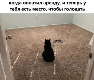 Чисто я😎 #1