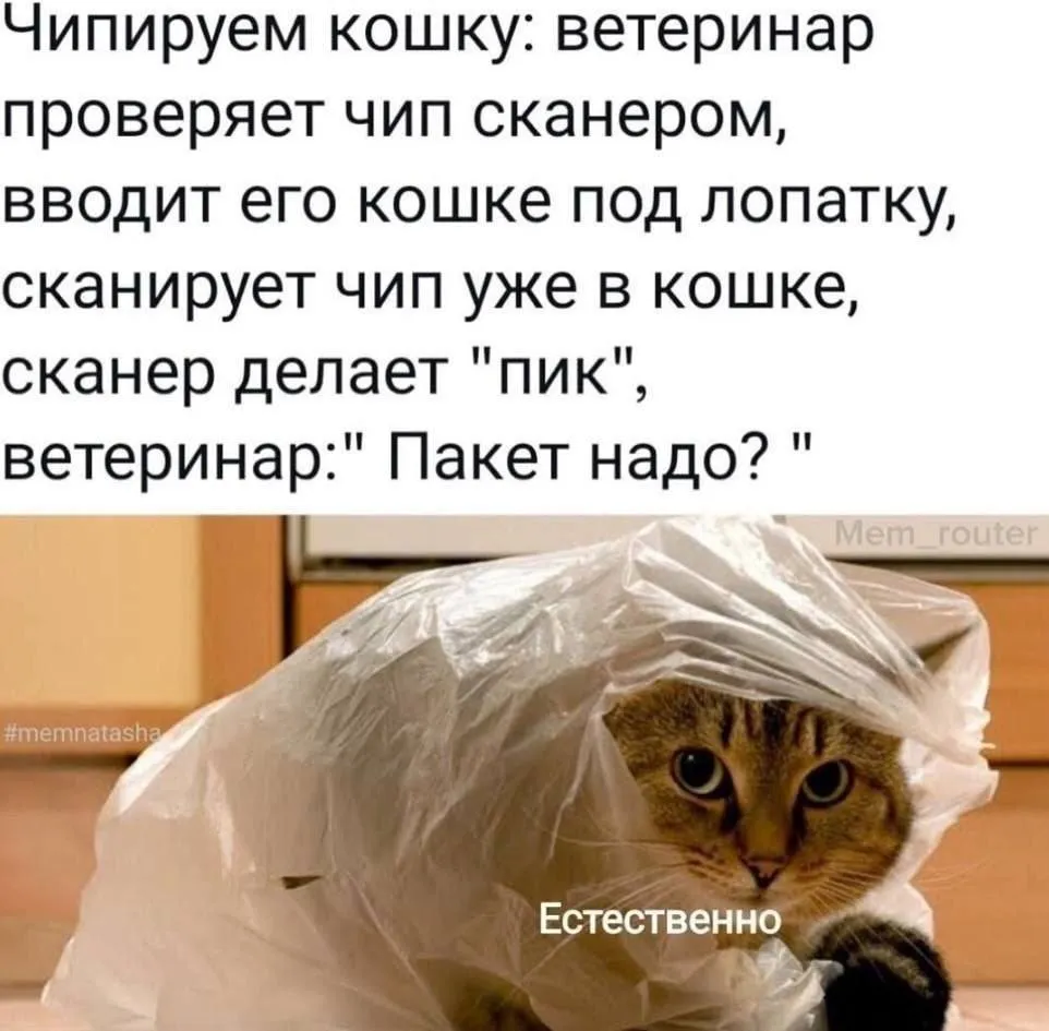 😂😂😂 #1