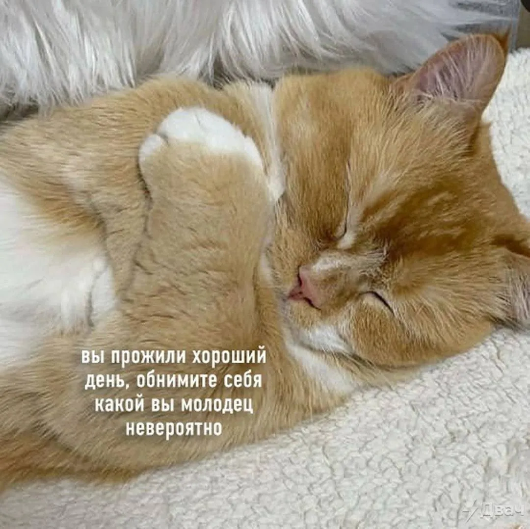 Как день прошёл?😊рассказывайте #1