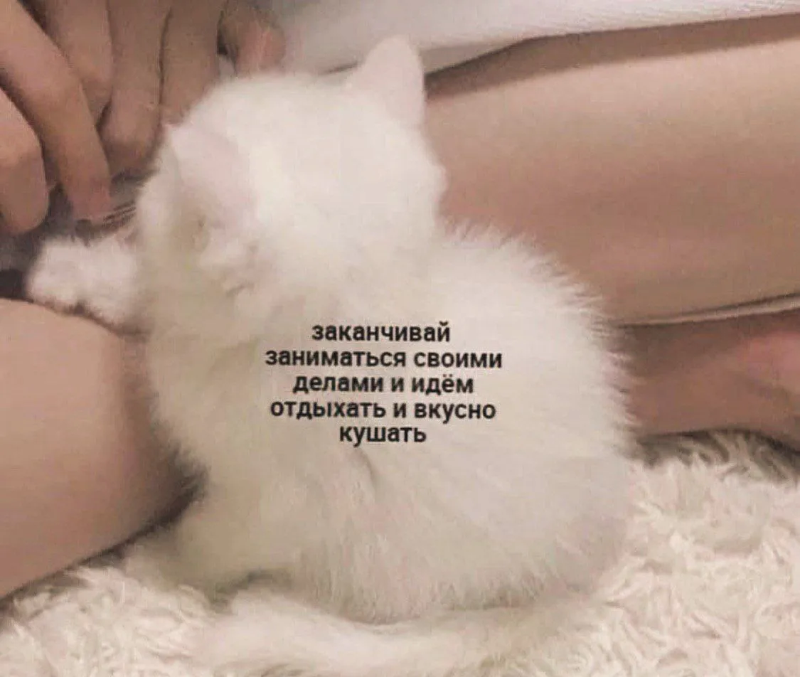 Спокойной ночи ❤️ #1