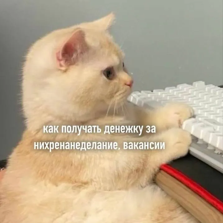 Ваши предложения в комментарии 👇 пожалуйста #1