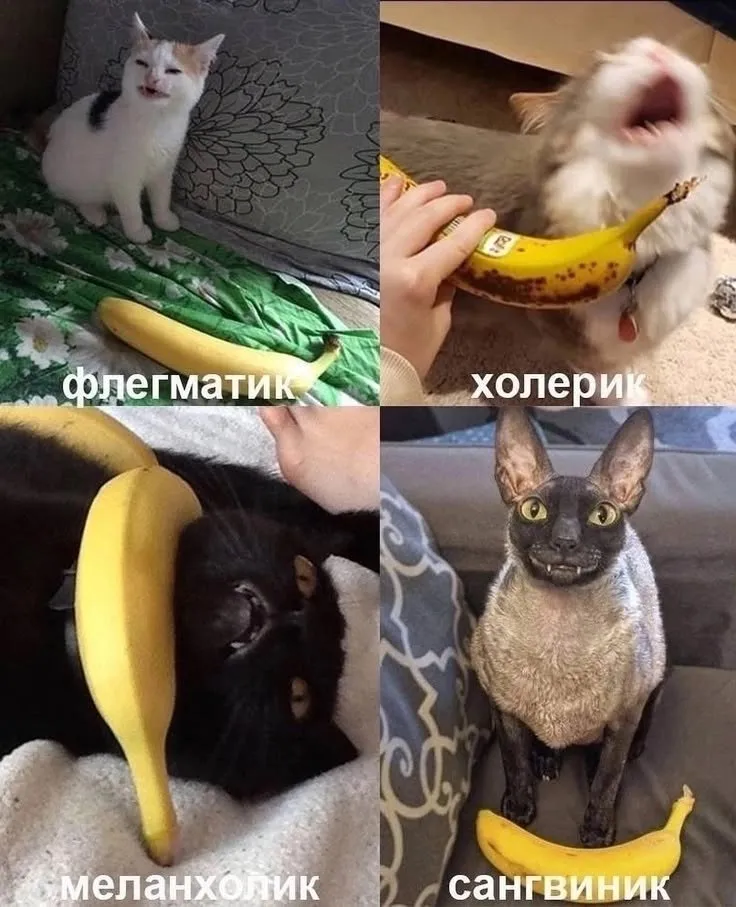 А ты кто сегодня? #2