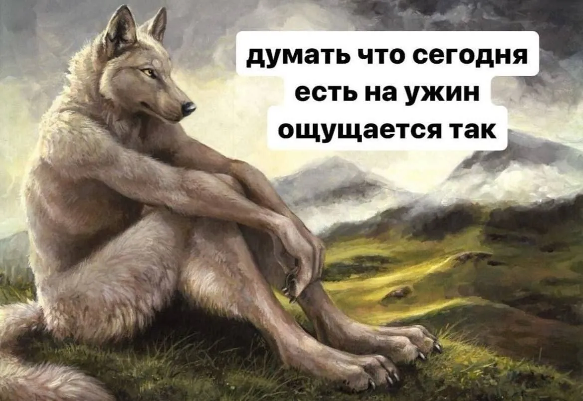 Что на ужин? Рассказывайте! #2