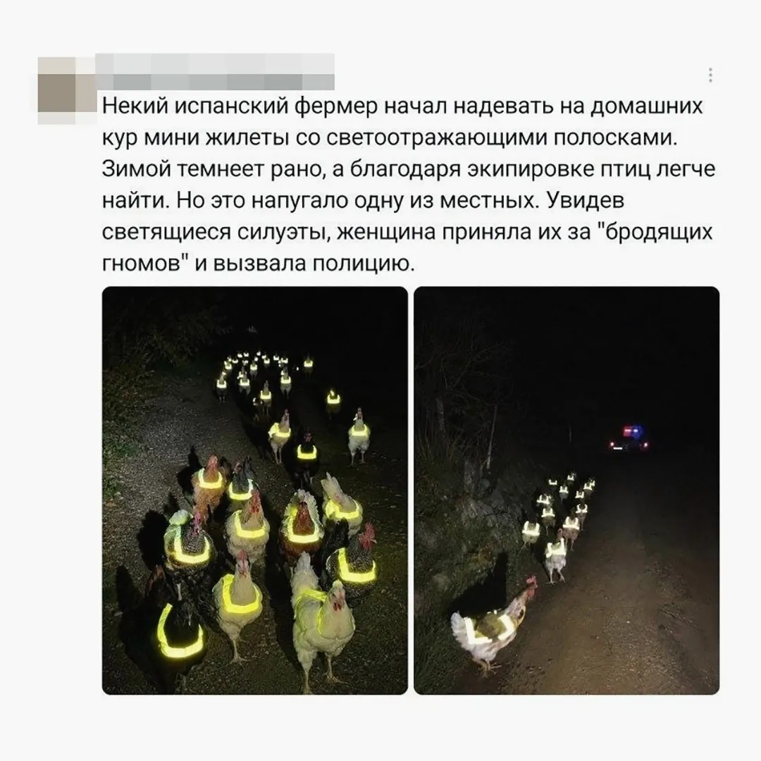 Я хочу, что бы все новости были такими🥺 #1