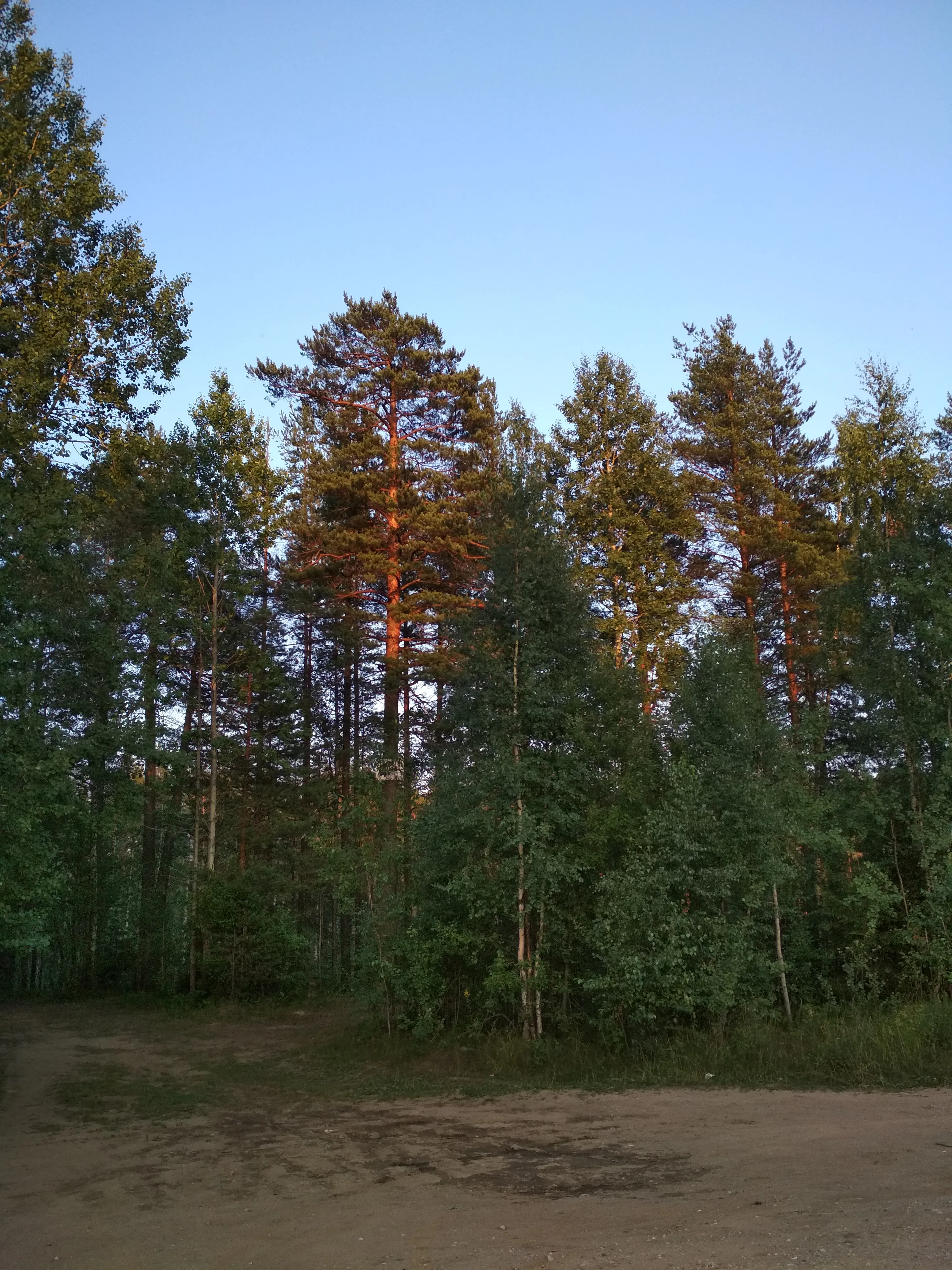 Лемболово #3