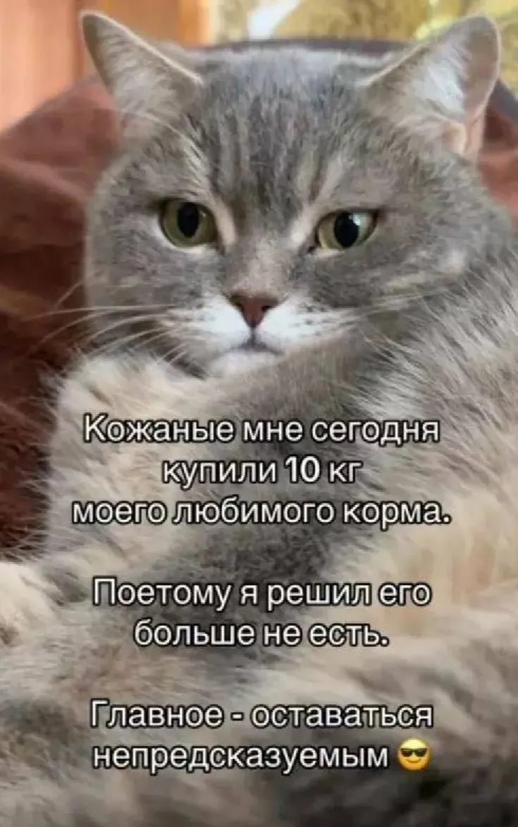 Непредсказуемость 😁 #1