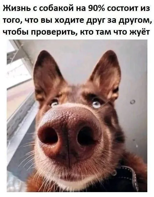 Доброе утро! 😊 #2